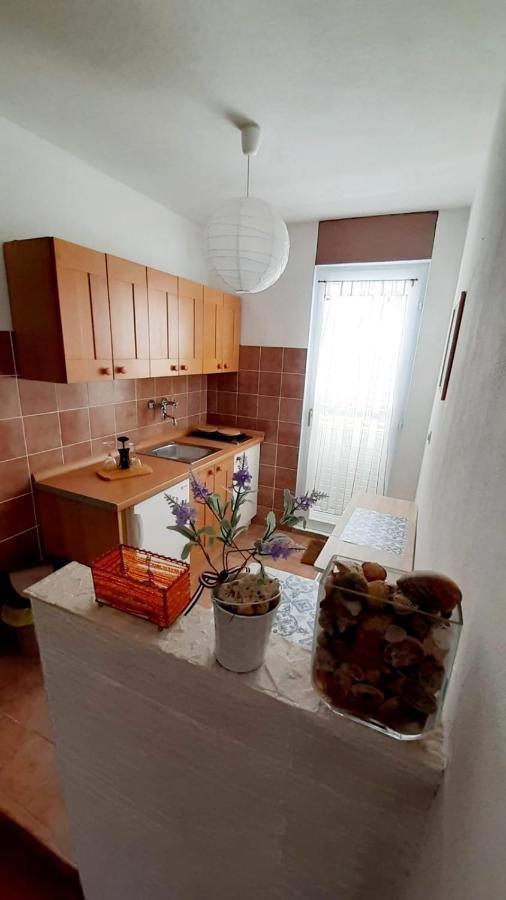 Apartman Ivan Vir Buitenkant foto