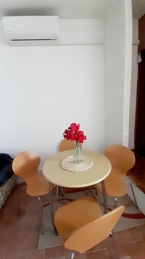 Apartman Ivan Vir Buitenkant foto