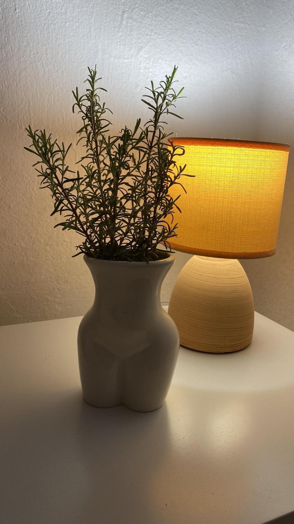 Apartman Ivan Vir Buitenkant foto